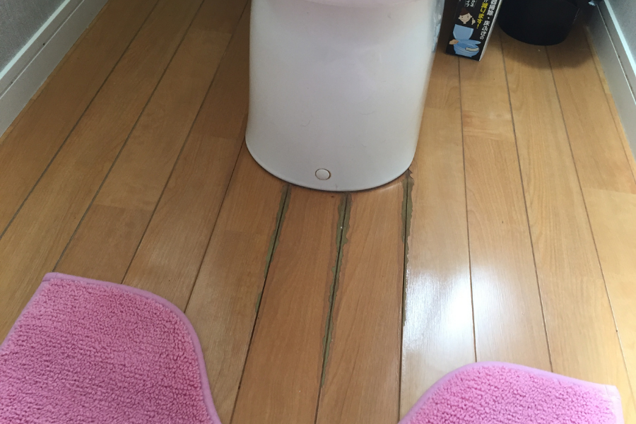 京都府在住 K様(飲食店)